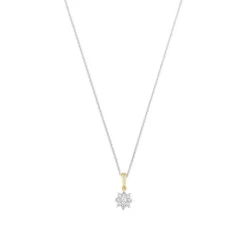 Brillant Anh&auml;nger Gold 585 bicolor