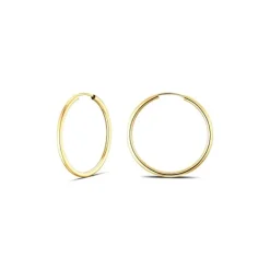 Creolen Gold 585