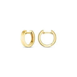 Creolen Gold 585