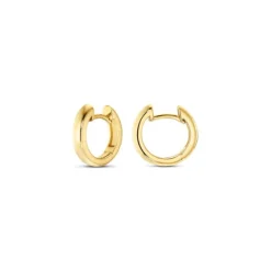 Creolen Gold 585