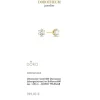 Lab Grown Diamond Ohrstecker Gold 585 im Brillantschliff zus. 1,00 ct.