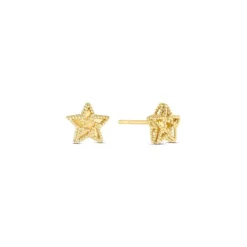 Ohrstecker "Stern" Gold 585